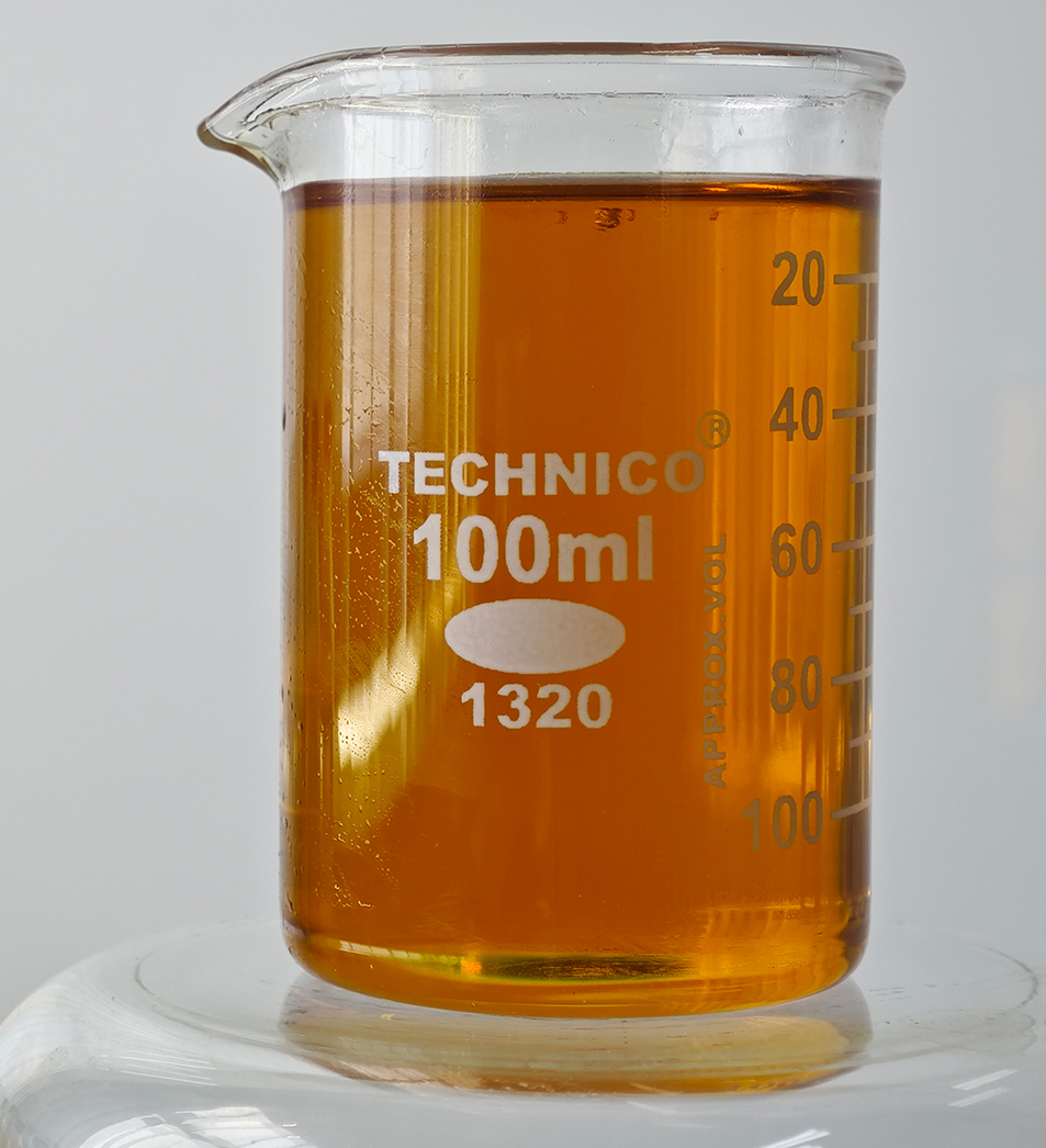 Gold Fin International LLC