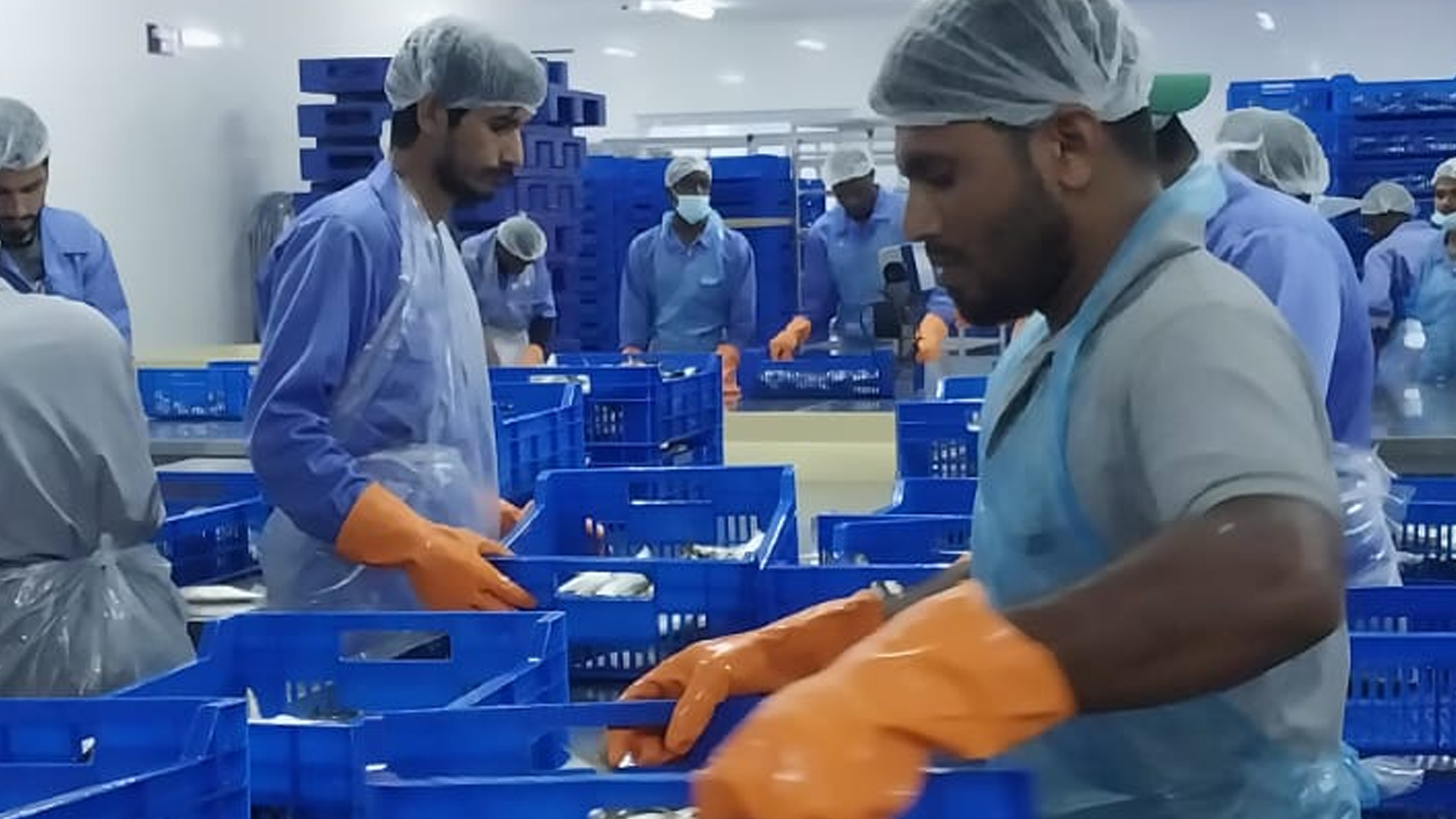 Gold Fin International LLC