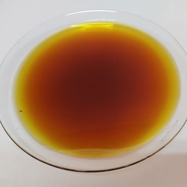 Gold Fin International LLC